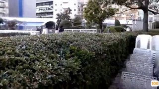 波多野结衣系列在线观看免费全集🔞中文字幕一区二区三区